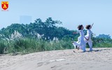 Hà Nội mùa hoa cỏ lau